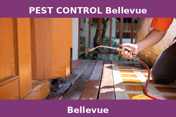 PEST CONTROL Bellevue